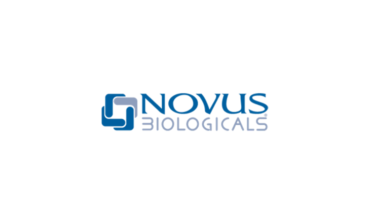 novus